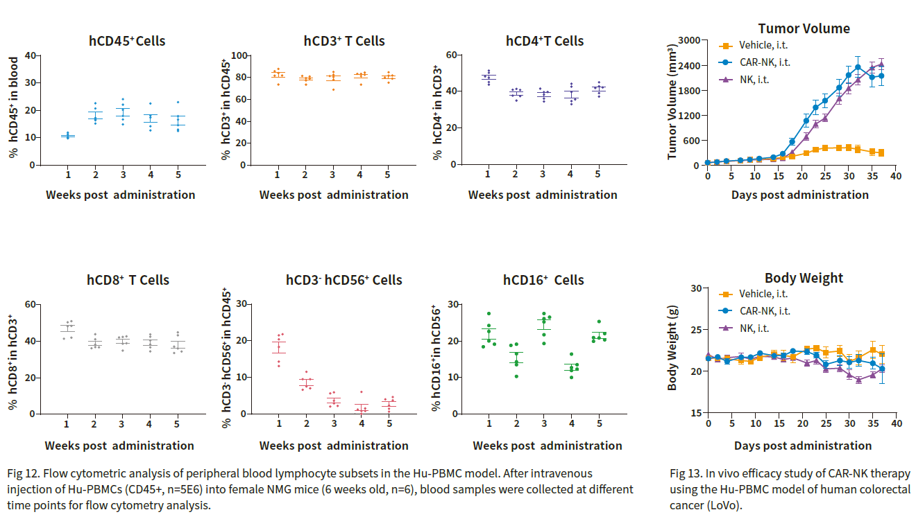 huPBMC-NMG Evaluation