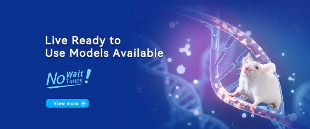 Live Ready-to-Use Models Now Available – No Wait Times!
