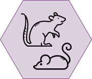 Toolbox of Mice